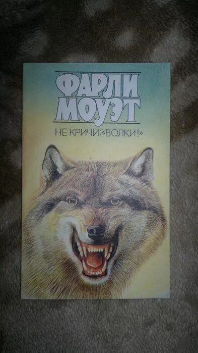 Волк книга 8