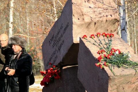 Репрессии 1937 1938 годов