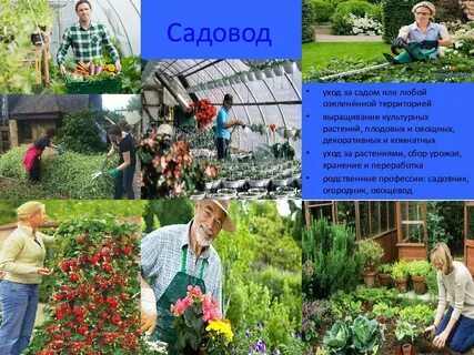 Профессии связанные с биологией 5 класс картинки
