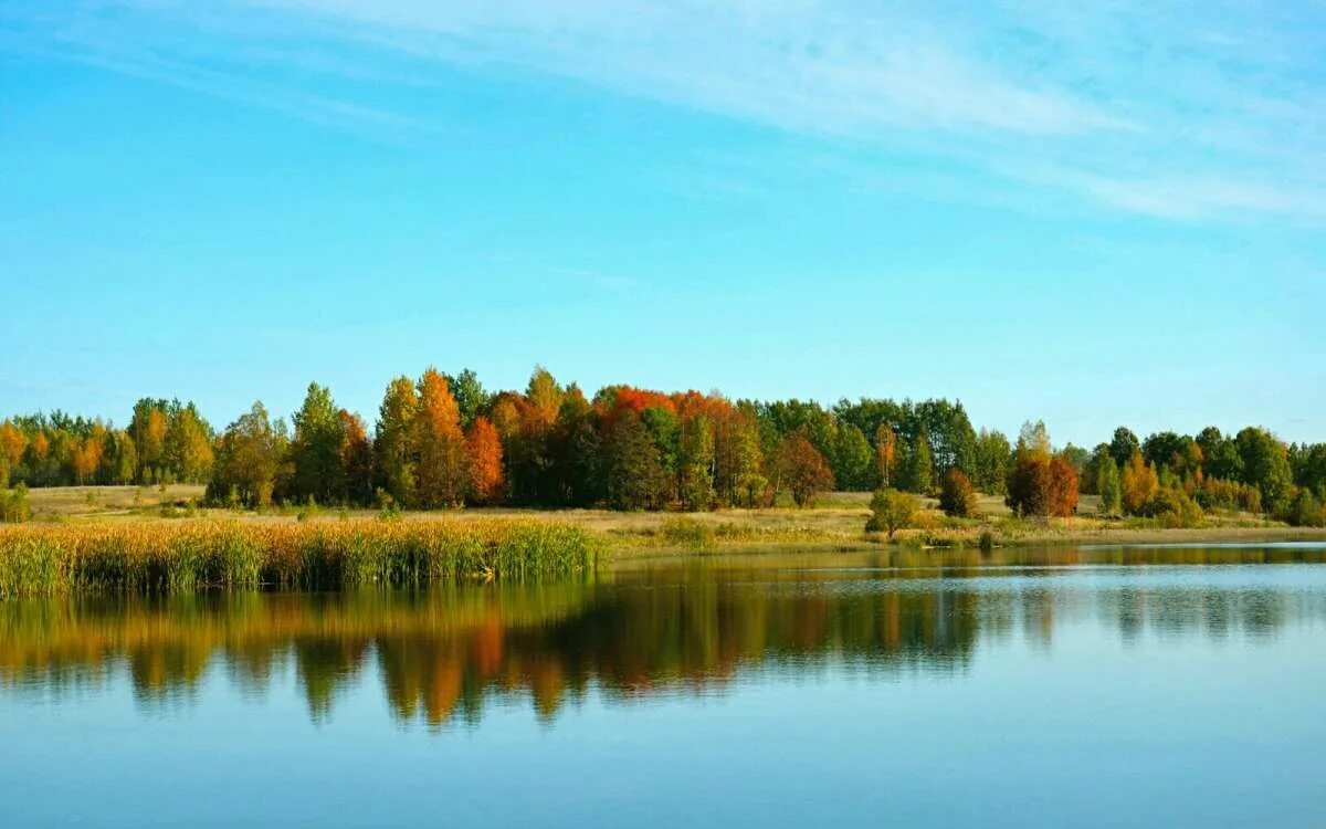 Главный город смоленской области. Смоленск вид с реки. Старинный русский город смоленск. Смоленск дивачы водохранилище. Смоленск московская область.