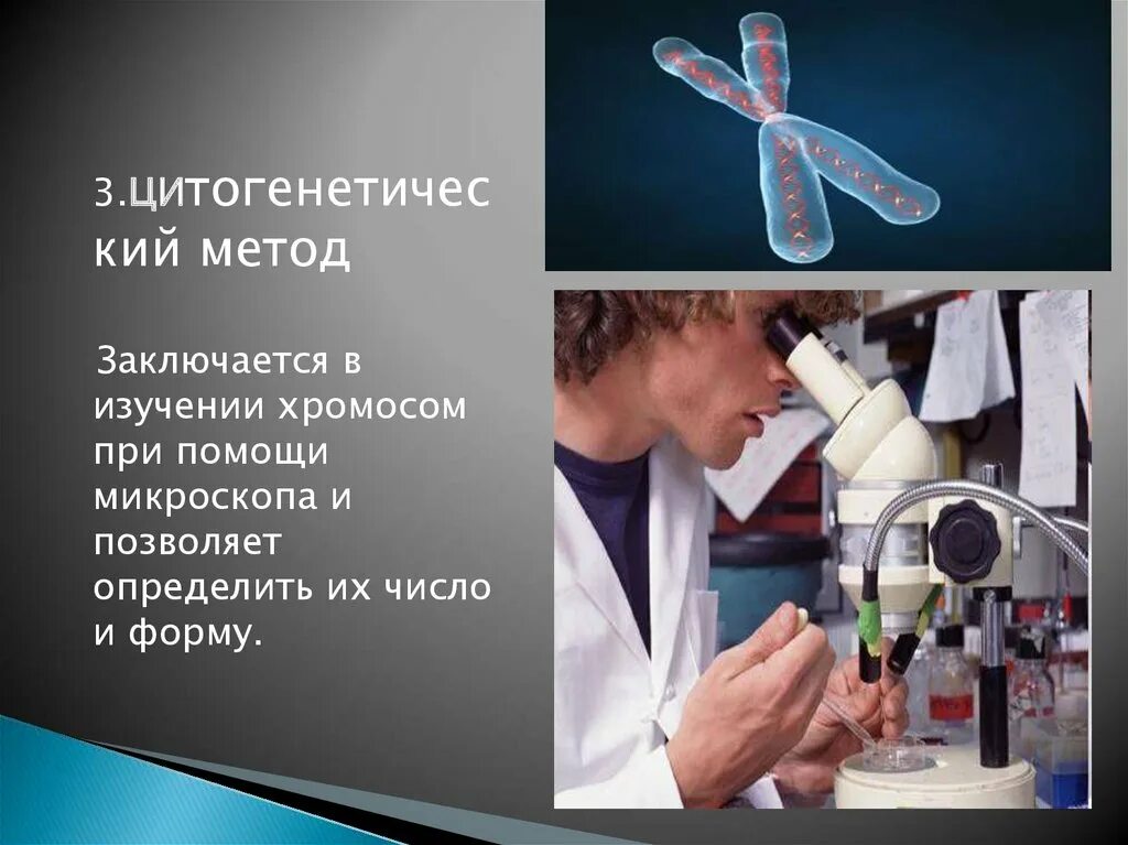 Изучение хромосом под микроскопом метод. Цитогенетически1 метод. изучение хромосом человека при помощи микроскопа. электронная микроскопия в исследованиях хромосом..