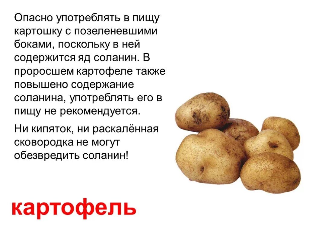 Можно есть проросшую картошку