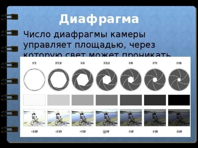 Диафрагма при съемке. Открытая диафрагма в фотоаппарате. диафрагма фото. величина диафрагмы фотоаппарата это. открытая и заковтая диоф.