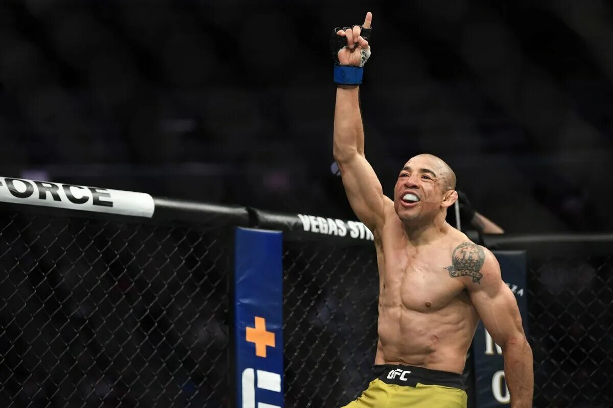 Aldo фото. Жозе альдо фото. Магазин aldo в москве. Альдо ufc. Жозе альдо.