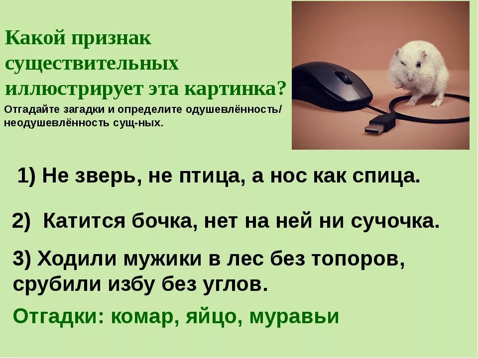 Признаки по русскому языку 3 класс. Загадки с не с существительными. Загадка об имени существительном. Загадки с существительным. Загадка про имя существительное.