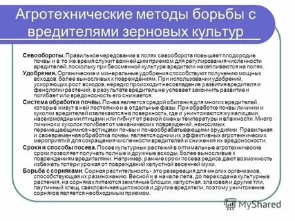 Агротехнические меры борьбы с сорняками
