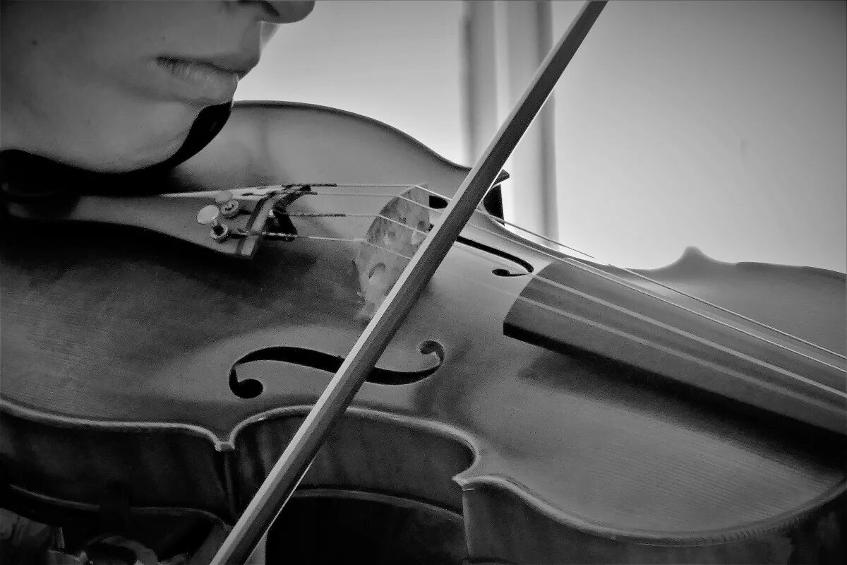 Классическая музыка э. Скрипка. классическая скрипка. скрипка музыкальный инструмент. виолончель.