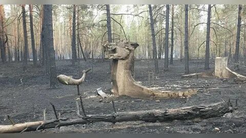 Аномалии чернобыля