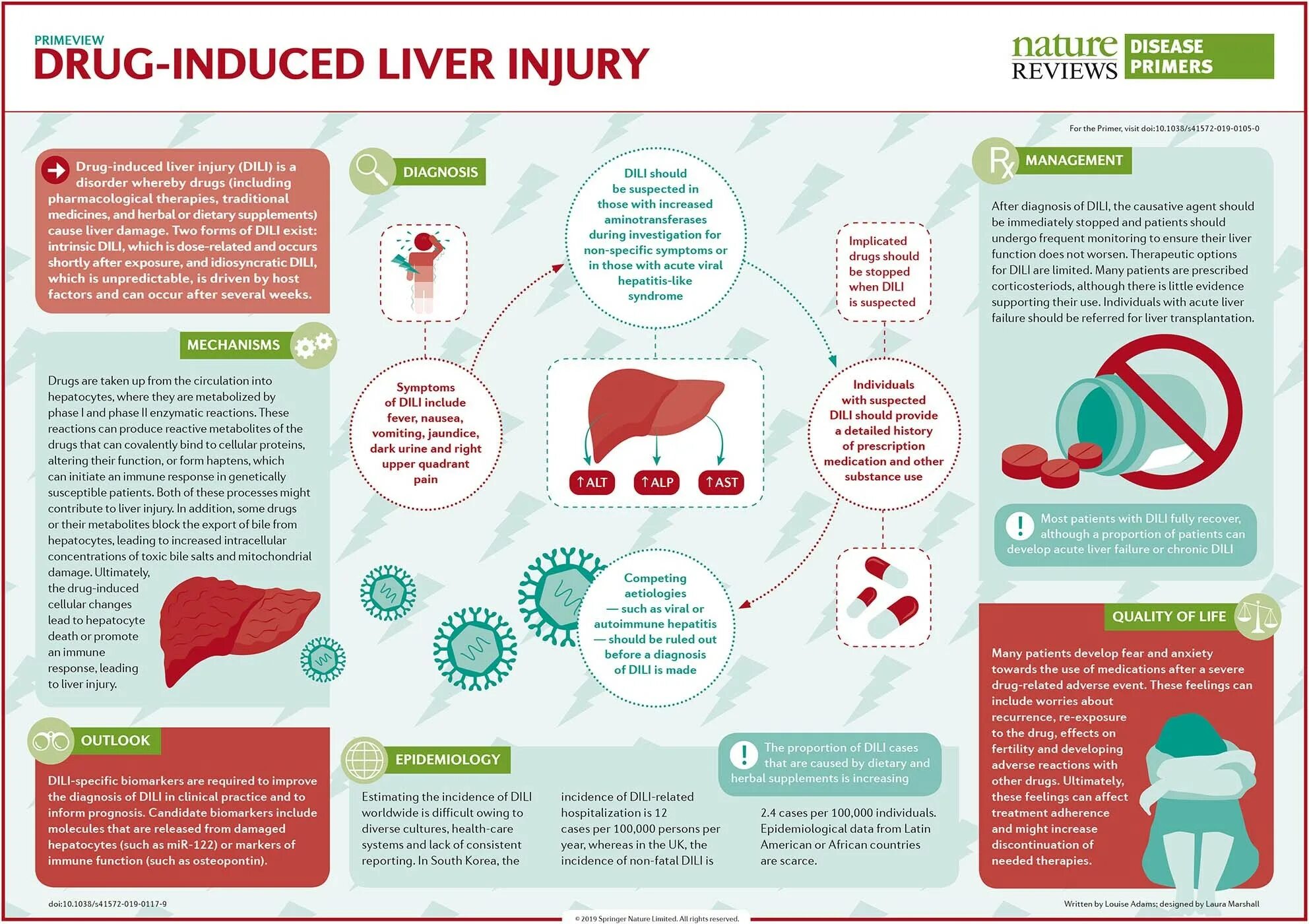 Drug injury Liver. Drug induced Hepatitis. Nature Reviews disease primers. Nature reviews