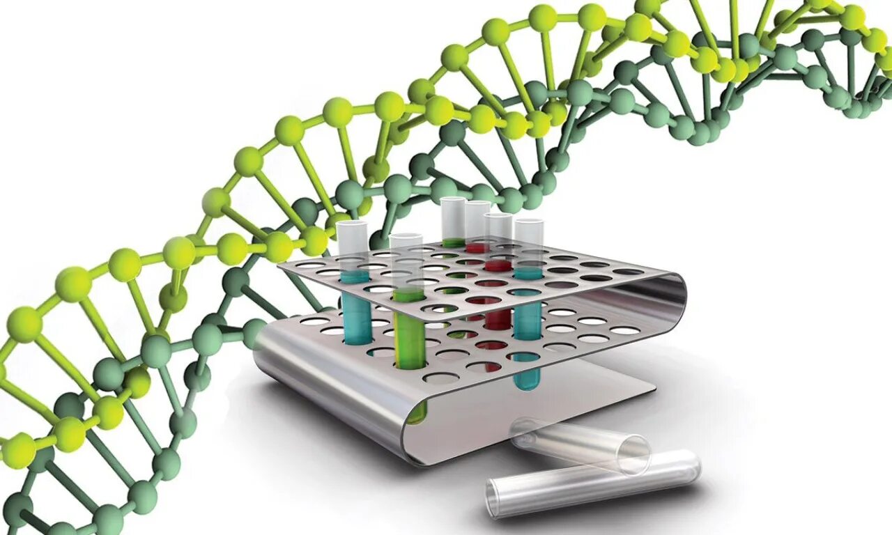 Генетика практика. Молекулярно-генетическое исследование ПЦР. Молекулярно-генетическая диагностика (ПЦР). Молекулярные методы. Молекулярно-генетические методы исследования ДНК.
