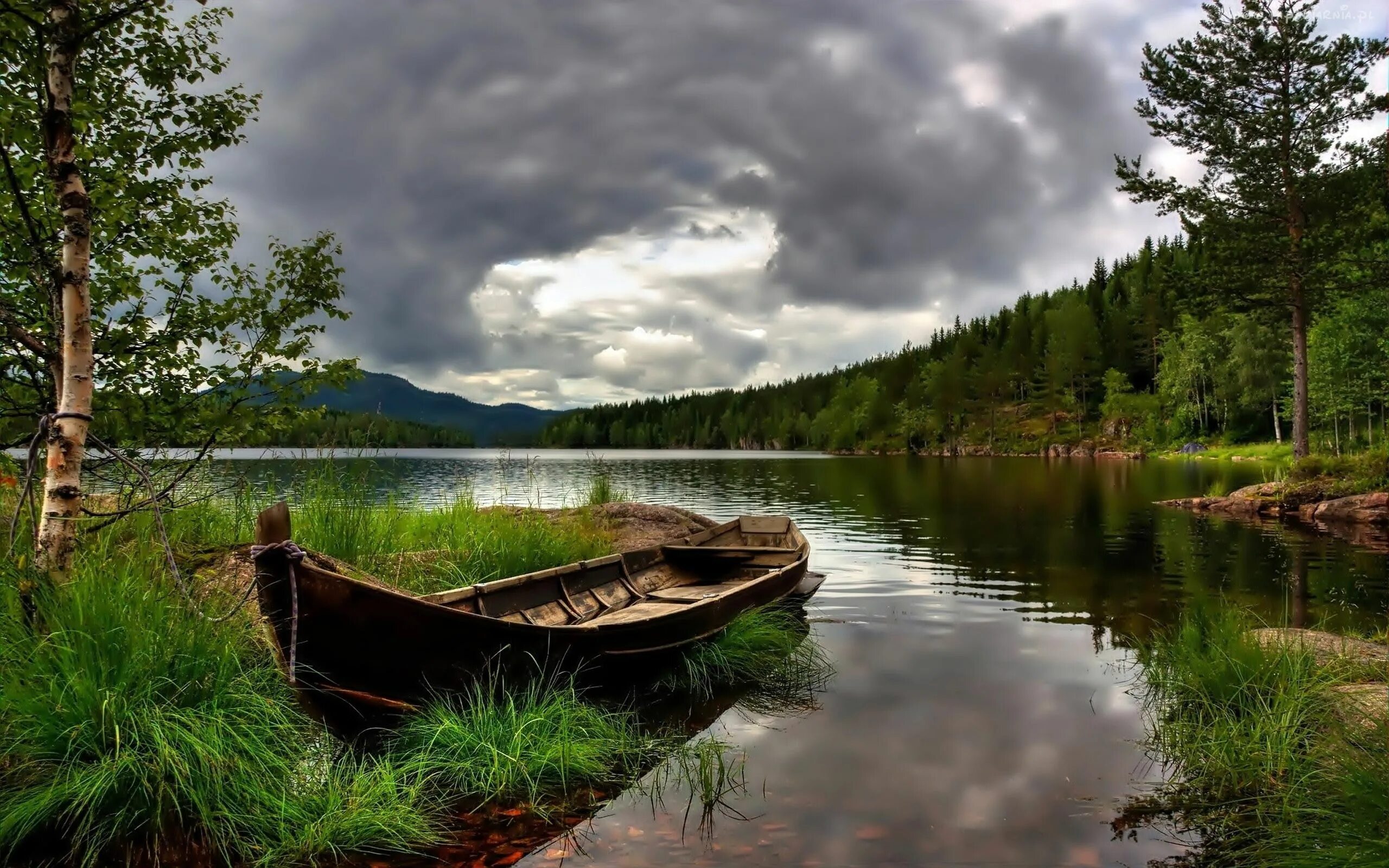 Lake House Телецкое озеро. Берег озера. Лодка на озере. Речной пейзаж. Хорошо гулять по берегу лесного озера