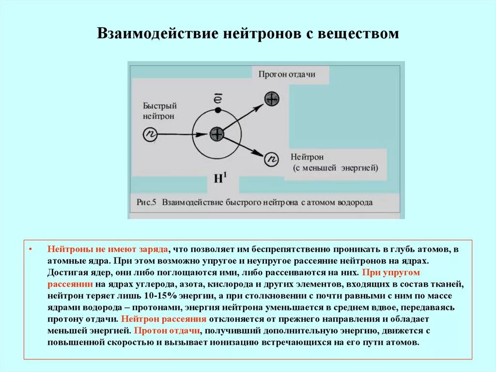 Взаимодействие нейтронов с веществом неупругое рассеяние. Упругое и неупругое взаимодействие нейтронов. Взаимодействие нейтрона с веществом поглощение. При неупругом взаимодействии нейтронов с веществом:. При захвате нейтрона ядром al