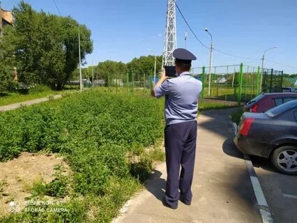 Городской надзор