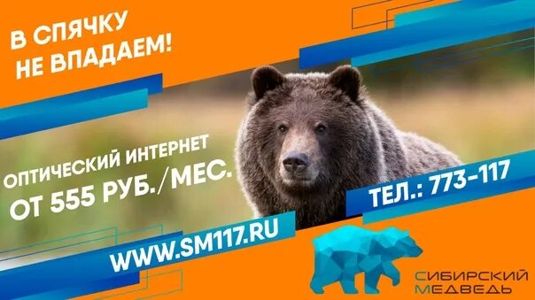 Сиб медведь. Интернет-провайдер Сибирский медведь. Сибирский медведь. Интернет медведь. Сибирский медведь тарифы.