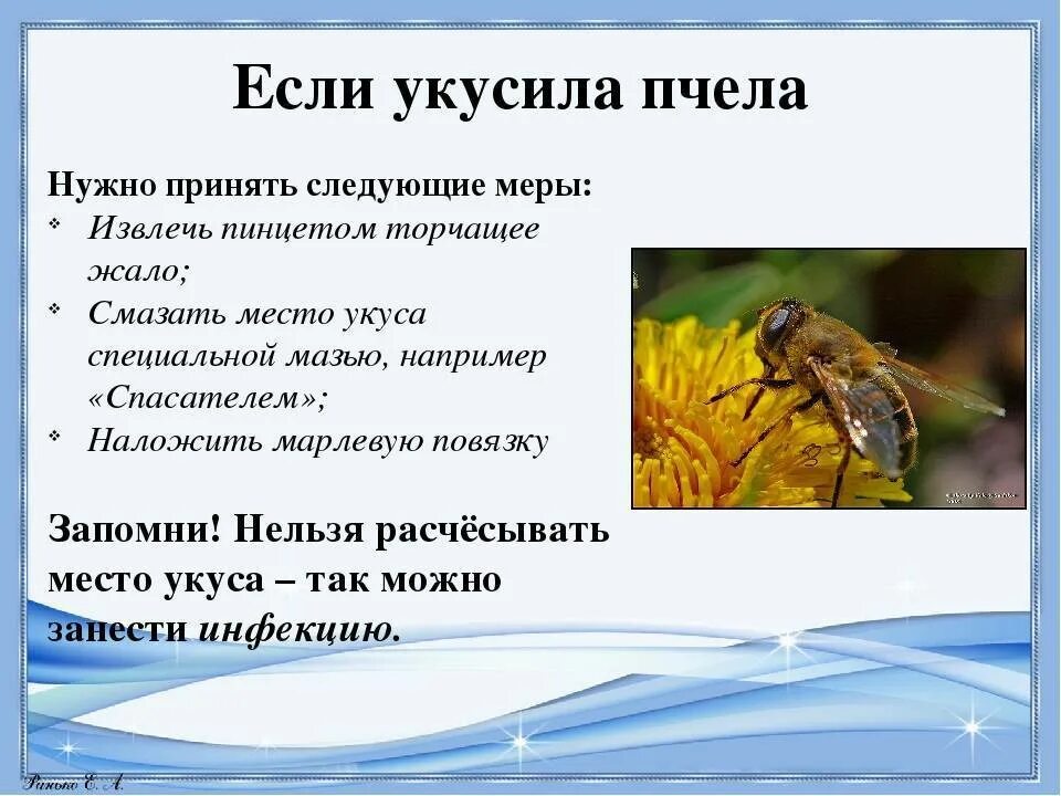 Если тебя укусила оса нужно