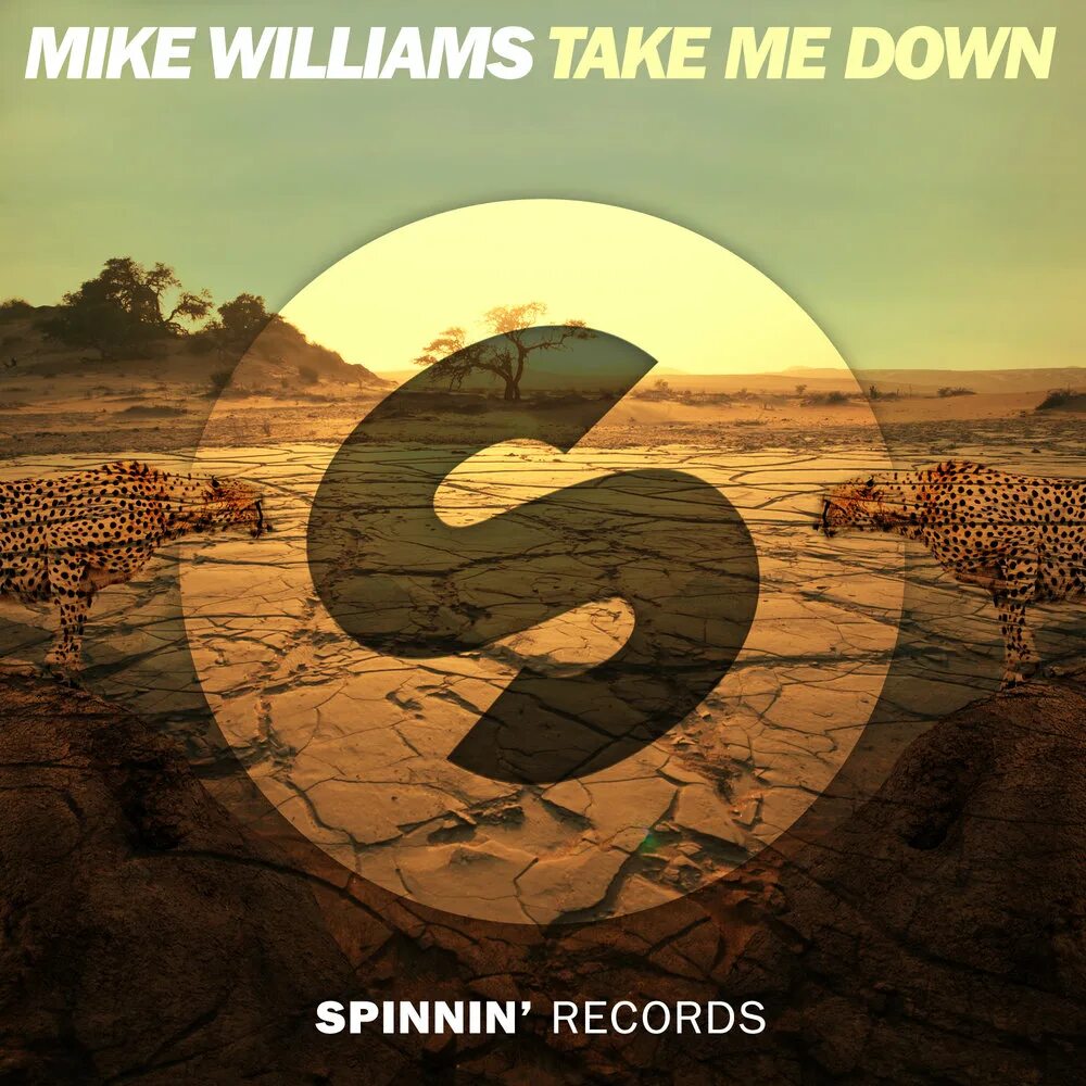 Take this down. Spinnin records. Mike Williams. Mike Williams обложка альбома. Mike Williams DJ.