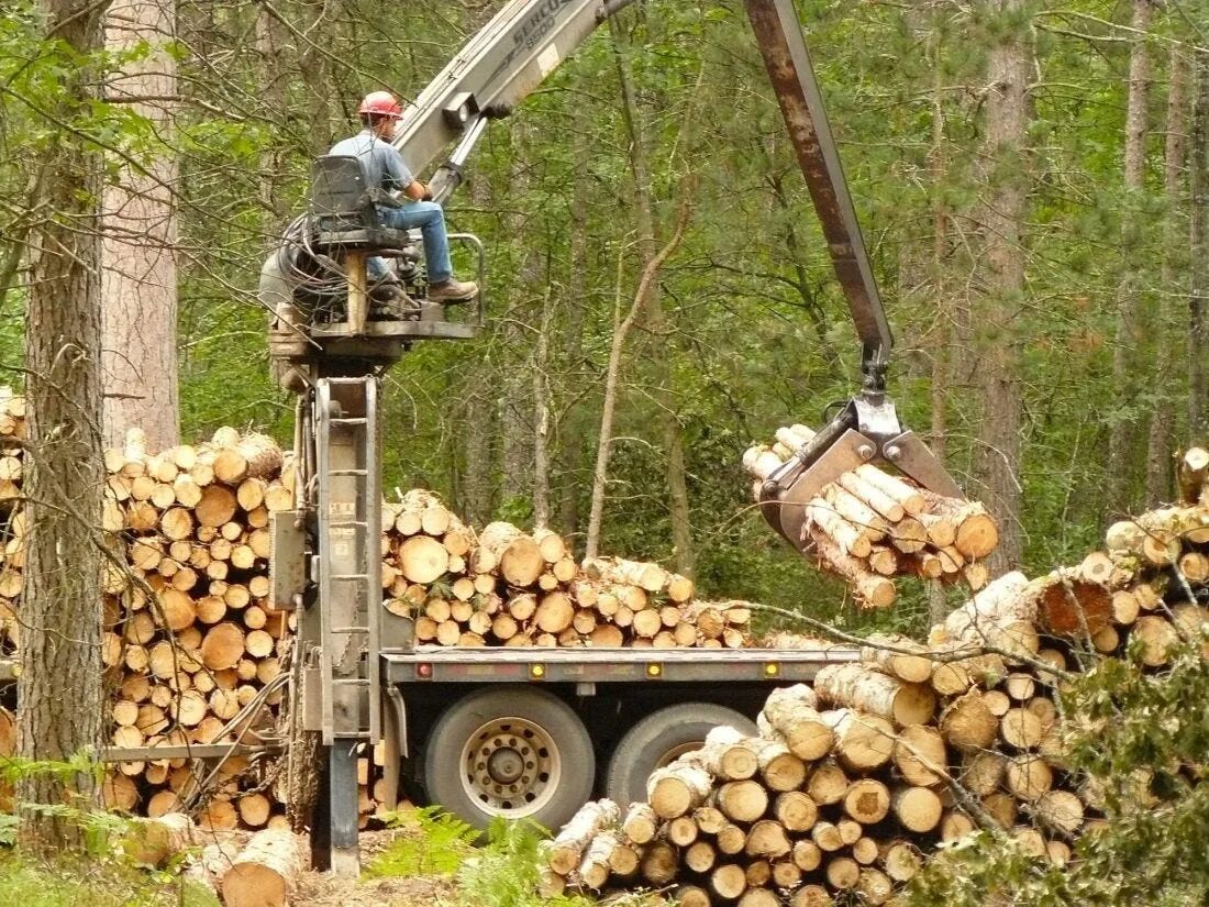 Logging persistent. Лесозаготовка. техника для лесозаготовки. лесозаготовка орегон. logging.