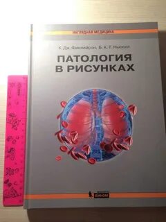 Патология г