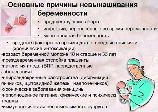 На какой неделе замирает плод. Замирание плода симптомы. На какой неделе замирает плод. Узи замершей беременности на ранних сроках. На какой неделе замирает плод.