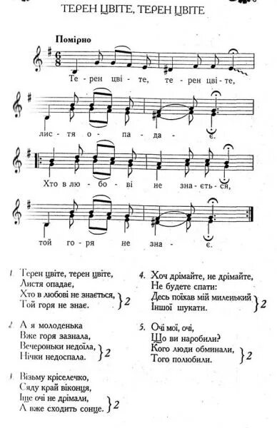 Слова песни Цвите терен. Слова песни цветет терен на украинском языке. Цвіте терен цвіте терен текст. Текст песни цветет терен.