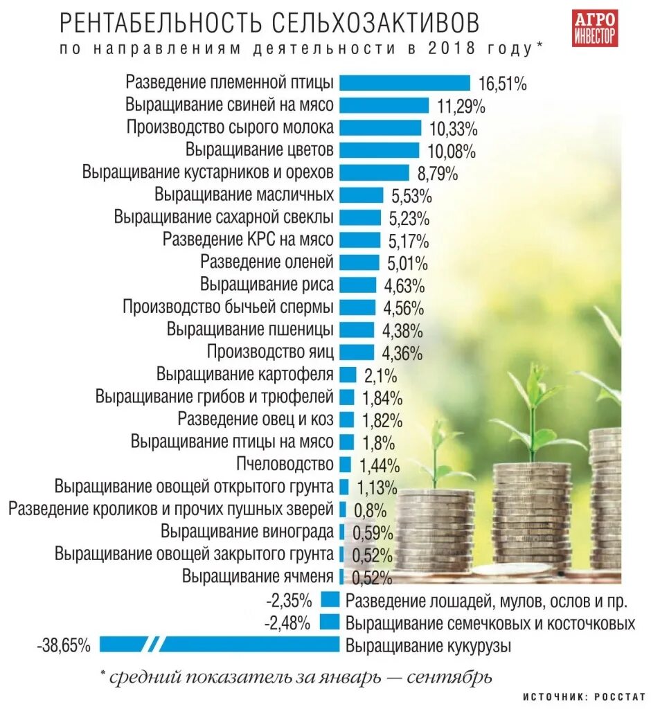 Растущую рентабельность. Рентабельность овощей открытого грунта. Рентабельность выращивания культур. Рентабельность выращивания пшеницы. Рентабельность выращивания злаковых культур.