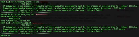 Bash args