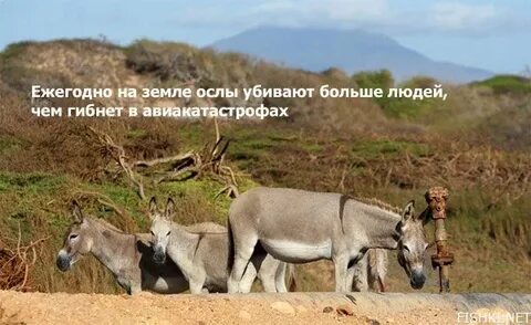 Интерестный или интересный