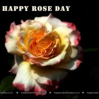 O happy