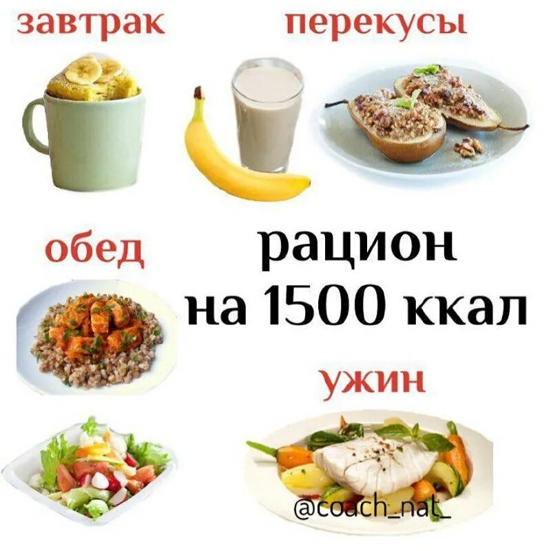 Завтрак обед ужин. Рацион на 1500. Рацион на 1500 калорий. Завтрак на 1500 калорий. Завтрак обед и ужин на 1500 калорий.