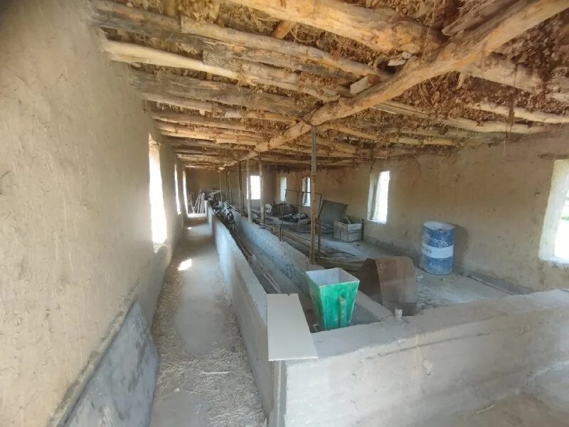 2021 соли чист. имсол соли кадом хайвон 2024. солшумори мусалмони. имсол соли кадом хайвон 2024. соли 2022 соли чист.