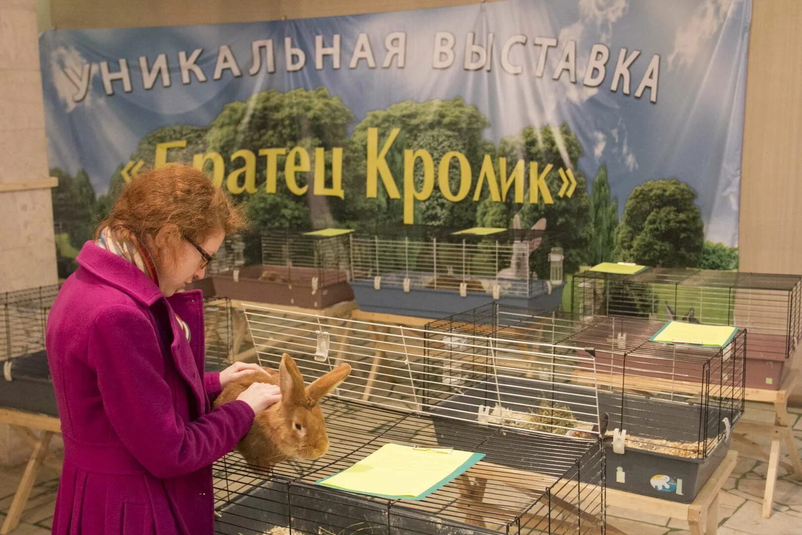 Зоомагазин на оптовой базе элиста. Братец кролик зоомагазин. Зоомагазин в глазове. Зоомагазин глазов. Зоомагазин в глазове в цуме.