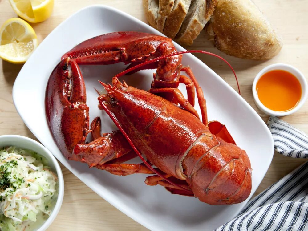 усатый лангуст. морепродукты омар лангуст. алексей дмитриев иллюстратор. сообщение о ракообразных. омар дальневосточный.