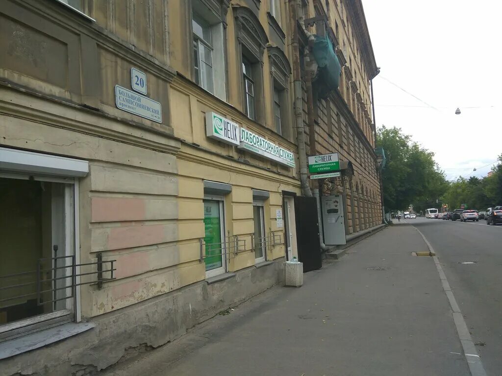 Беркут сампсониевский. Беркут сампсониевский