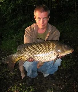Дикий карп