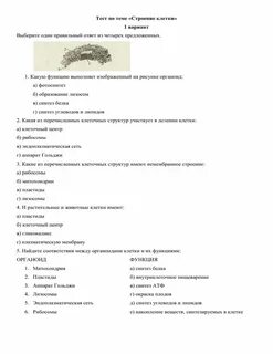 Строение организма человека тест 8 класс биология