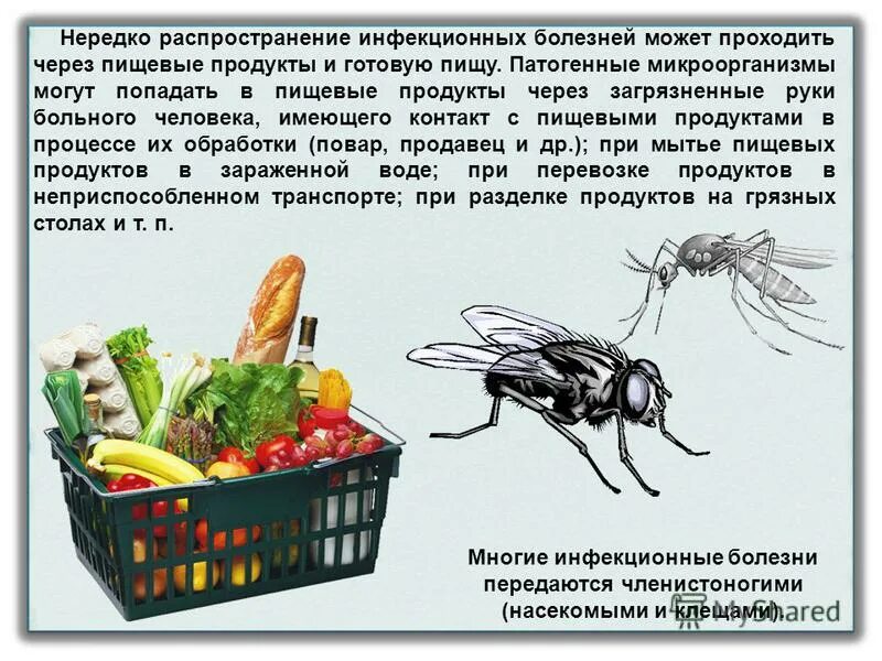 Б распространение инфекционных заболеваний