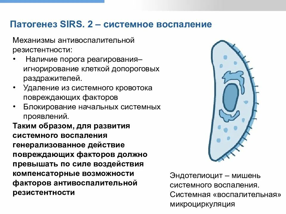 Синдром воспалительной реакции. Патогенез ссвр. схема патогенеза синдрома системной воспалительной реакции. патогенез синдрома системной воспалительной реакции sirs схема. патогенез синдрома системной воспалительной реакции.