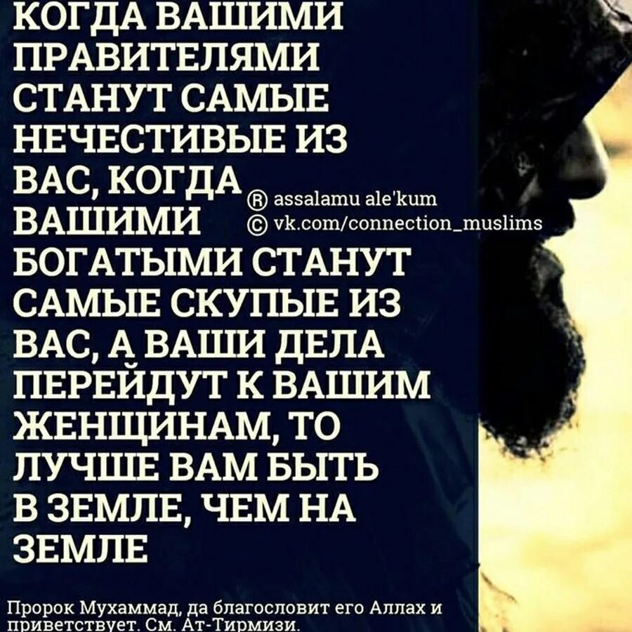 Пророк мухаммад текст. Хьажи бераш. хадисы пророка. высказывания пророка мухаммеда. хадисы пророка мухаммада с.а.в.