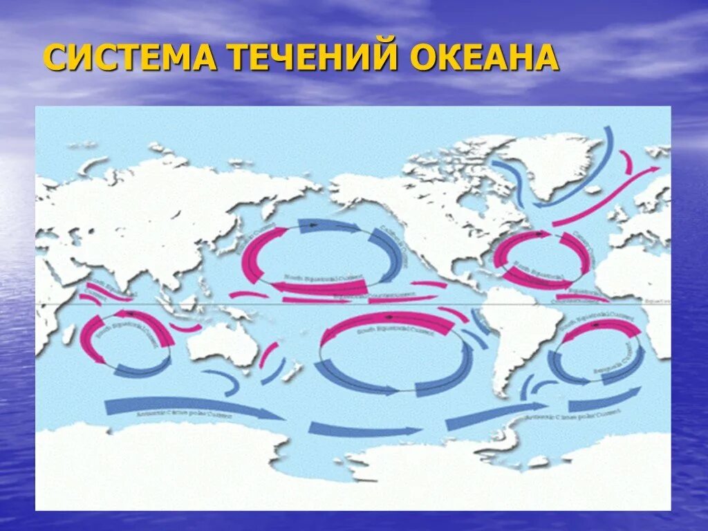 Круговорот течений мирового океана. Циркуляция вод в мировом океане течения. Схема течений мирового океана. Холодные морские течения.