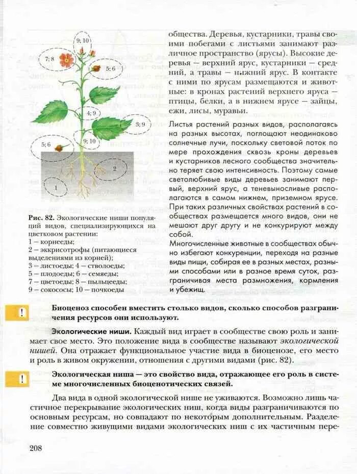 Параграф 9 биология 6 класс Пономарева. Биология 9 класс Пономарева Корнилова. Учебник по биологии 9 класс Пономарева зеленый. Учебник по биологии 9 класс Корнилова. Биология 9 класс учебник конспекты