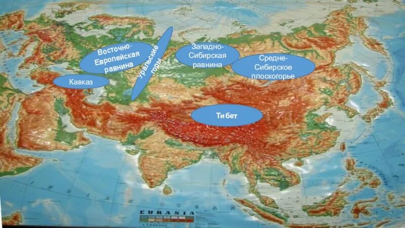 Перечислите равнины евразии. Низменности Евразии. Евразия Восточно европейская равнина. Горы и равнины Евразии. Равнина Востока Евразии.