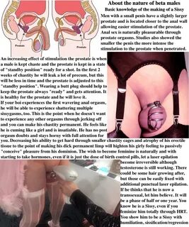 castrated sissy tumblr.