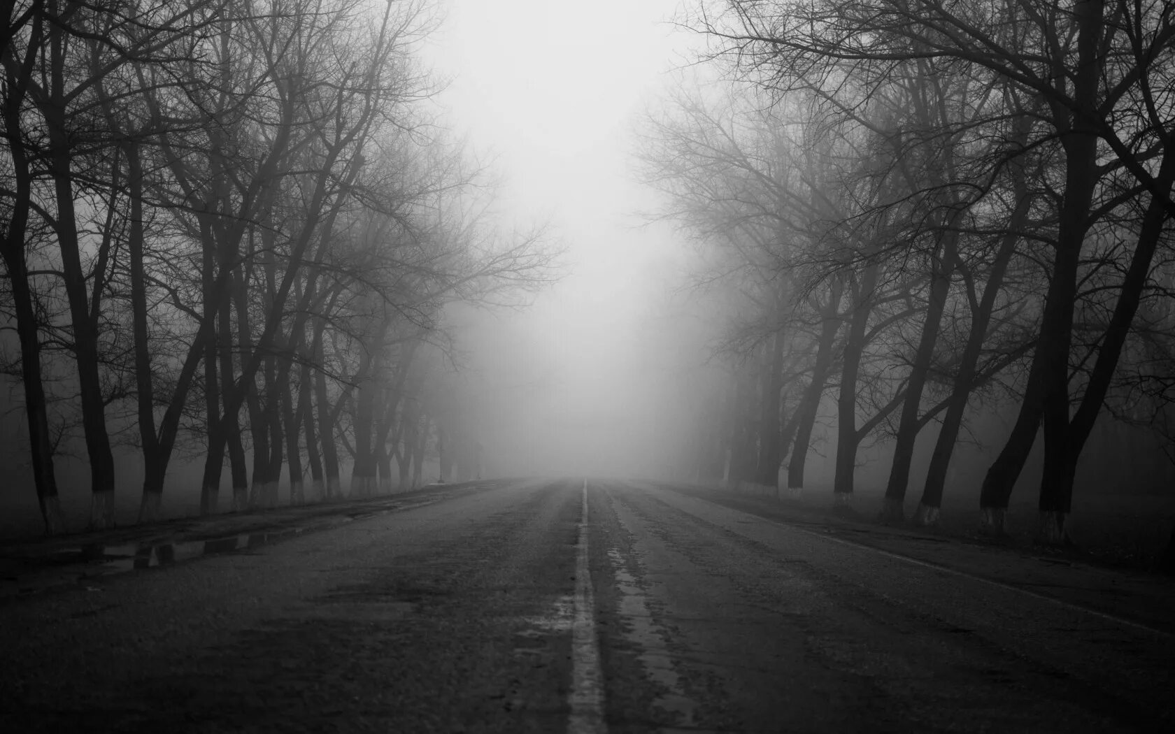 Серые фотографии. Серая осень. Дорога в лесу. Мрачные дороги. Мрачная дорога в лесу.