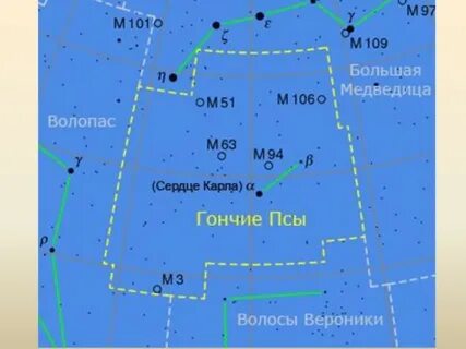 Созвездие пес какое небо