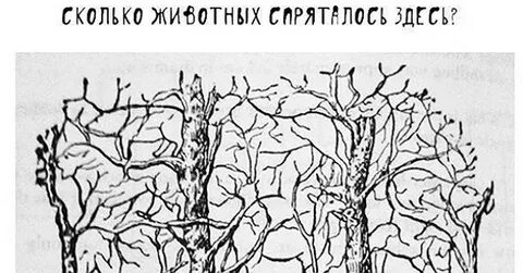 Посчитай сколько животных спряталось в этом лесу
