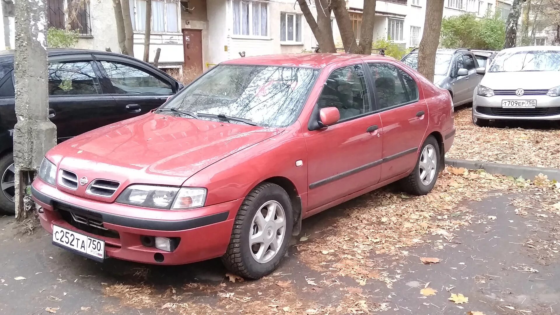 Nissan primera p11 кориандр. Nissan primera p11 зимняя резина. Nissan primera p11 тюнинг Япония. Ниссан гот фото политик. Ниссан готов