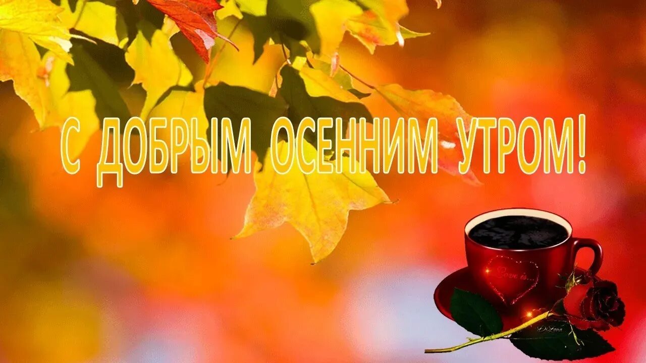 Поздравление с добрым осенним утром видео. Доброе осеннее утро среды. с добрым осенним утром видеоролики. с добрым осенним утром открытки и видео. пожелания с добрым осенним утром видеороликом.