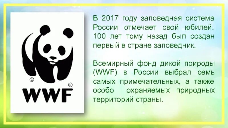 Всемирный фонд дикой природы WWF России. Сфера деятельности Всемирный фонд охраны дикой природы. Всемирный фонд охраны дикой природы цель. Эмблема международного фонда дикой природы.