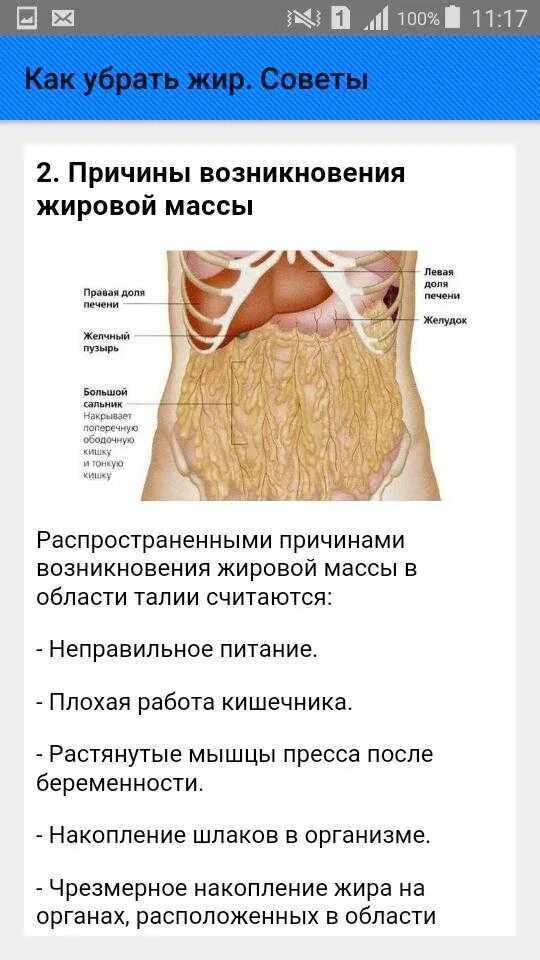 Как избавиться от висцерального жира у мужчин. Как убратьть жир на животе. Как убрать жир с живота. Жир в верхней части живота. Жировая прослойка на животе.