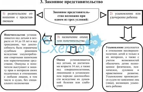 Сравнительная таблица опека попечительство патронаж